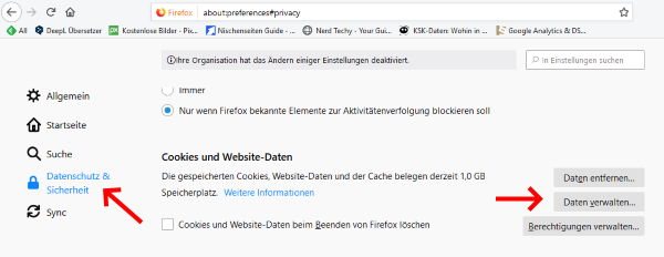 Cookies einzeln im Firefox löschen Bild 1